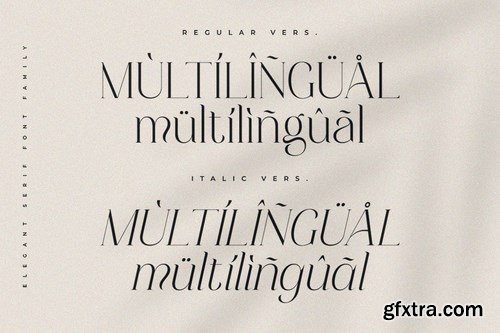 Mayfest Elegant Serif Font Family