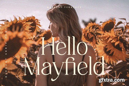 Mayfest Elegant Serif Font Family