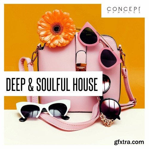 Concept Samples Deep and Soulful House WAV