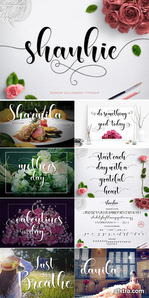 Shanhie Script Font