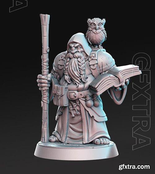 3D Print Models Dramnir - Dwarf Wizard with owl