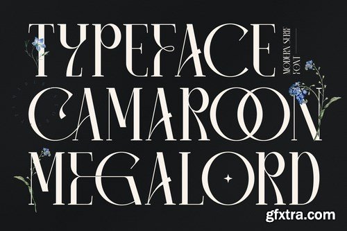 Camaroon Megalord Serif Font