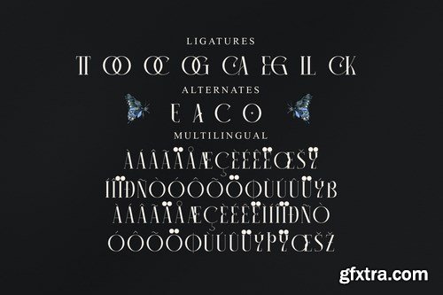 Camaroon Megalord Serif Font