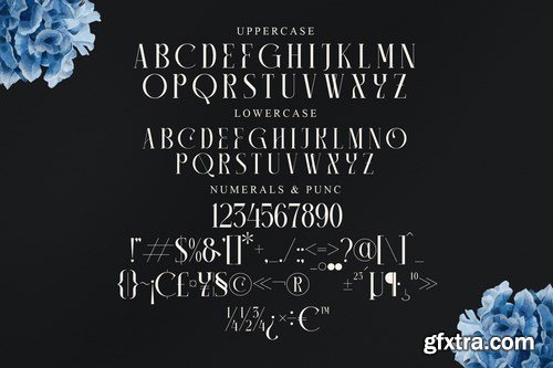 Camaroon Megalord Serif Font