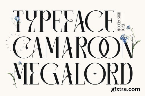 Camaroon Megalord Serif Font