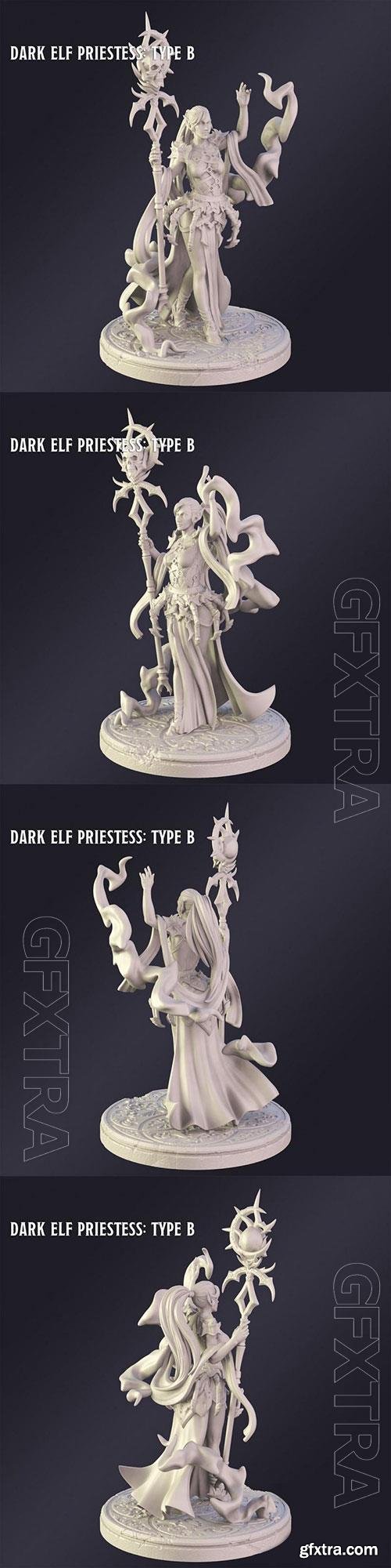 3D Print Models Dark Elf Priestes Type B