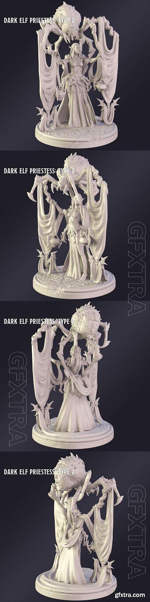 3D Print Models Dark Elf Priestes Type A