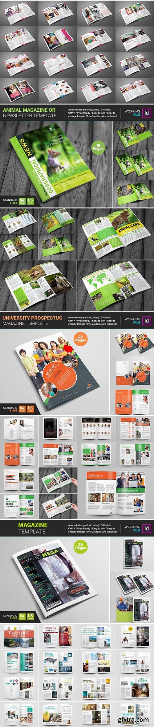 Magazine Bundle 10 Template V01