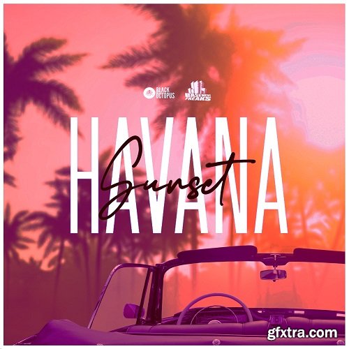 Black Octopus Sound Basement Freaks Presents Havana Sunset WAV