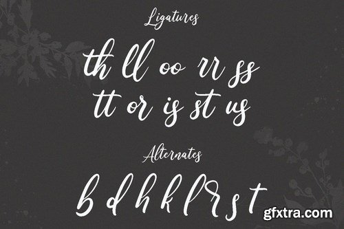 Wonder Villa Script Font