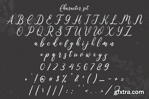 Wonder Villa Script Font