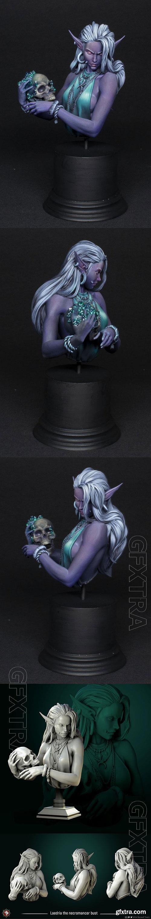 3D Print Models Laedria the Necromancer Bust