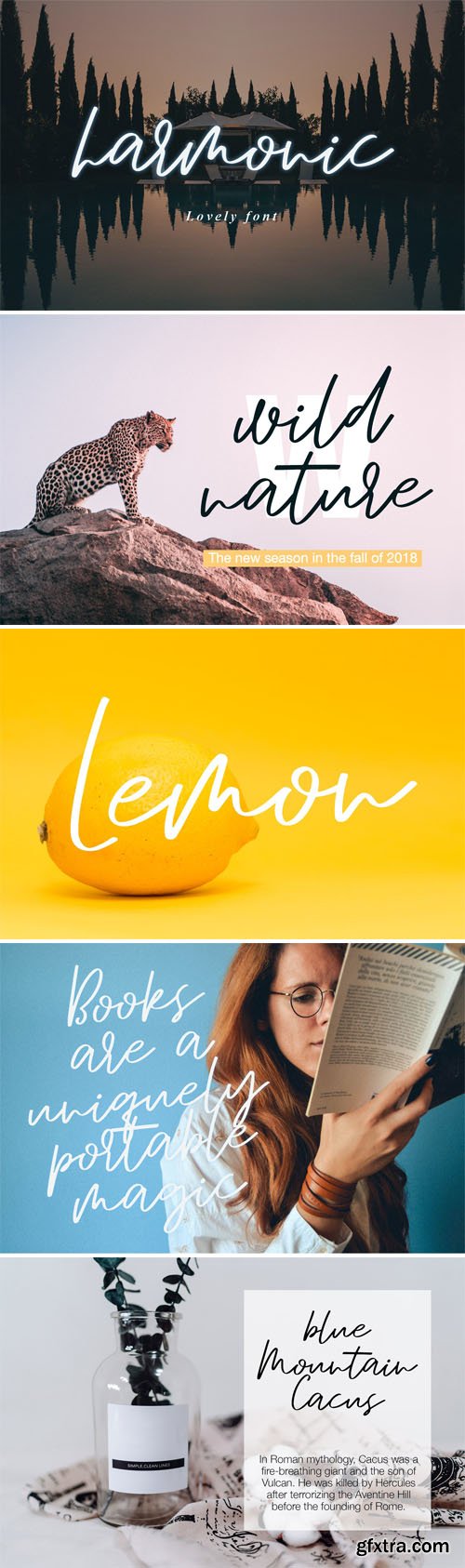 Harmonic - Lovely Modern Handwritten Script Font