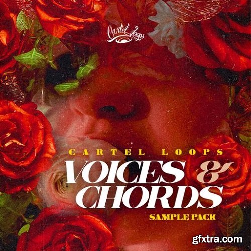 Cartel Loops Voices And Chords WAV