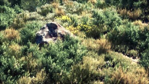 Videohive - Solid Rock in the Middle of Green Ground - 37879024 - 37879024