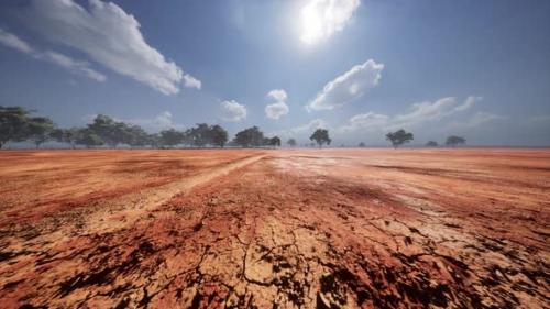 Videohive - Acacia Triis in African Landscape - 37805495 - 37805495