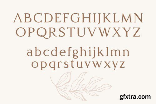 Delight - Luxury Serif Typeface