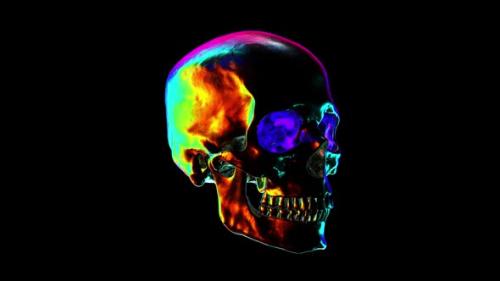 Videohive - Metallic Human Skull with Rainbow Reflections Looped Animation - 37914633 - 37914633