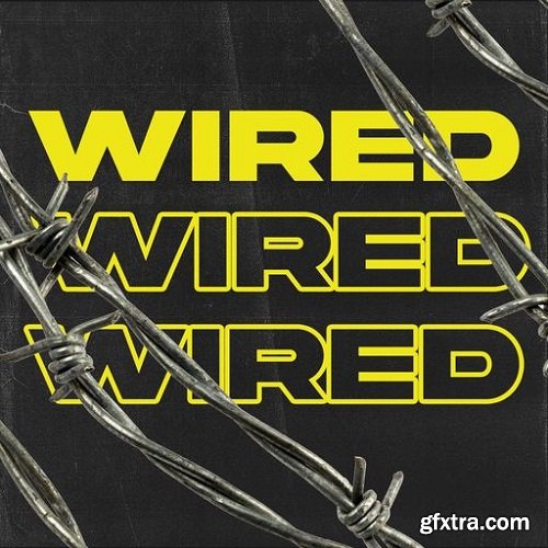 Ztar Audio Wired WAV