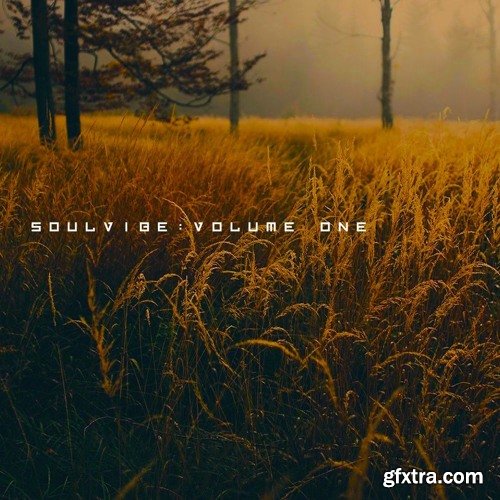 KAN Samples Soulvibe Vol 1 WAV