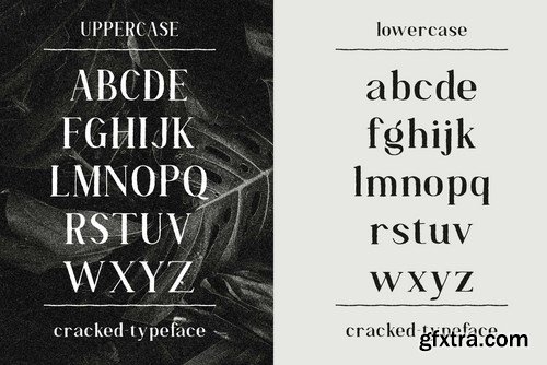 Cracked - A Handlettered Serif