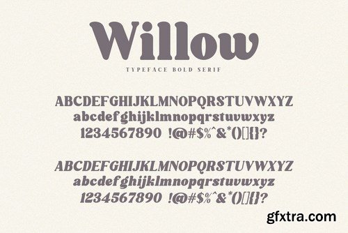 Willow. Typeface Bold Serif