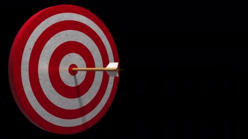 Videohive - Success In Business Target Hit In The Center By Arrow Loop Transparent Background 4k - 37935331 - 37935331