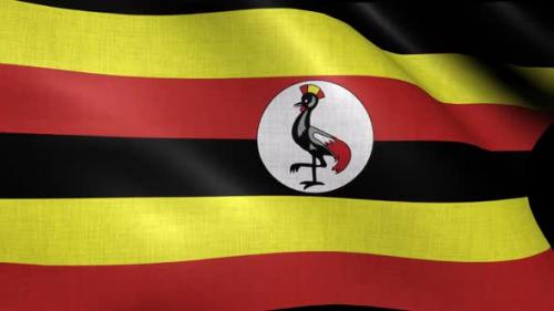 Videohive - Uganda Flag - 37936587 - 37936587