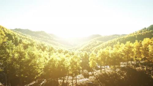 Videohive - Aerial Drone View of a Mountain Forest with Colorful Autumn Trees - 37937123 - 37937123