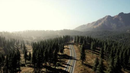 Videohive - Natural Aerial View on the Road and Forest at the Autumn Time - 37937712 - 37937712