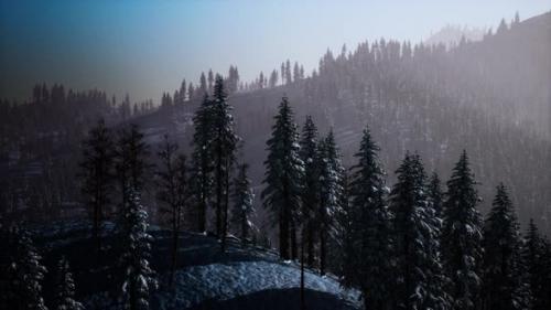 Videohive - Carpatian Mountains Fog and Mist at the Pine Forest - 37938490 - 37938490