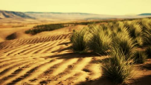 Videohive - Beautiful Yellow Orange Sand Dune in Desert in Middle Asia - 37938691 - 37938691