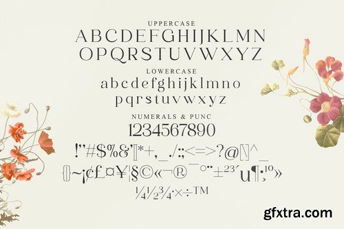 Mofaze Del Monte Serif Font