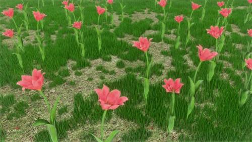 Videohive - Grass Field 02 Hd - 37969826 - 37969826