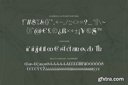 My Encounter - Expressive Serif Font