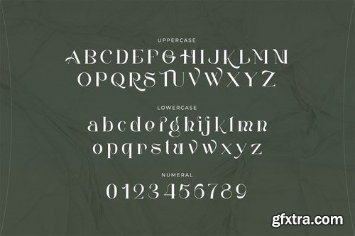 My Encounter - Expressive Serif Font