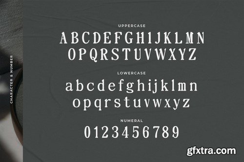 Neatness - Rounded Serif Typeface