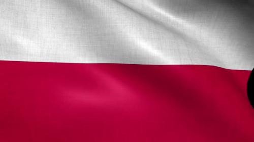 Videohive - Poland Flag - 37987998 - 37987998