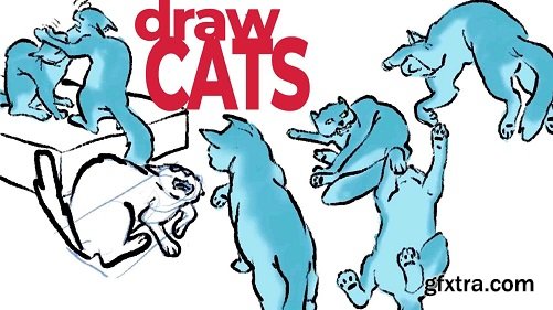 Have Fun Drawing Cats: Combine structure and knowledge with a loose, casual style.