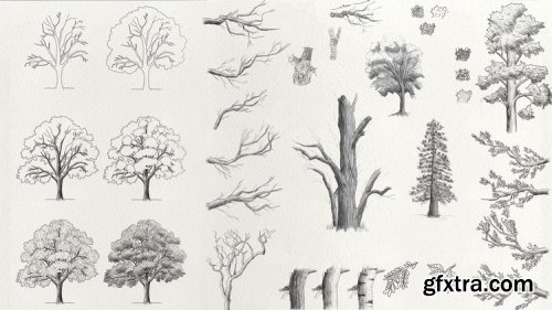 Complete Trees Drawing Course