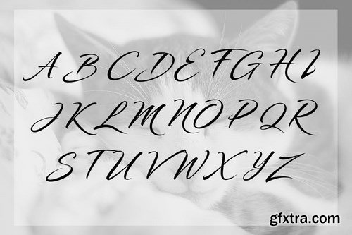 Ikesdym Script Font