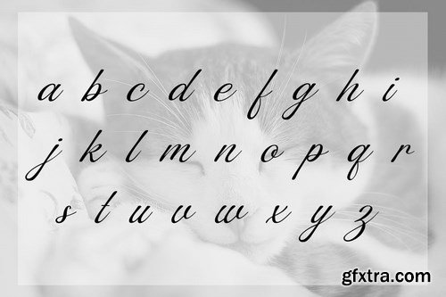 Ikesdym Script Font