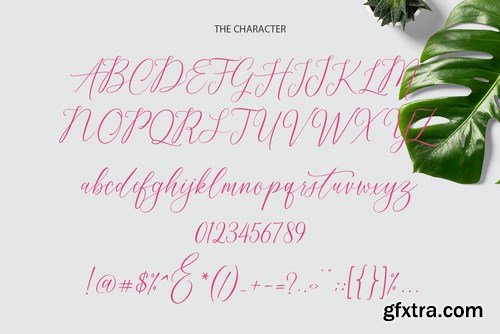 Naturality Script Font