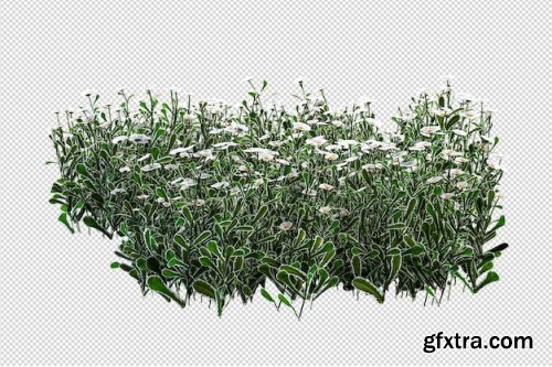 Render of isolated flower tree