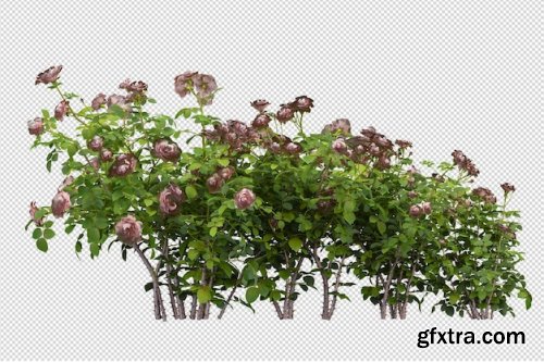 Render of isolated flower tree