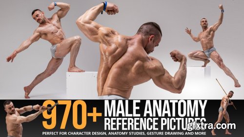 Artstation - Grafit studio - 970+ Male Anatomy Reference Pictures