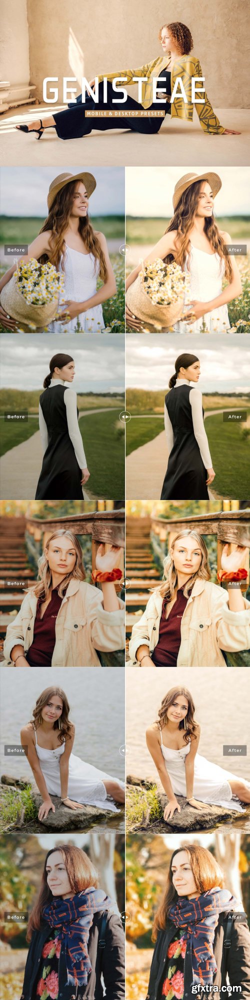 CreativeMarket - Genisteae Pro Lightroom Presets 7178686