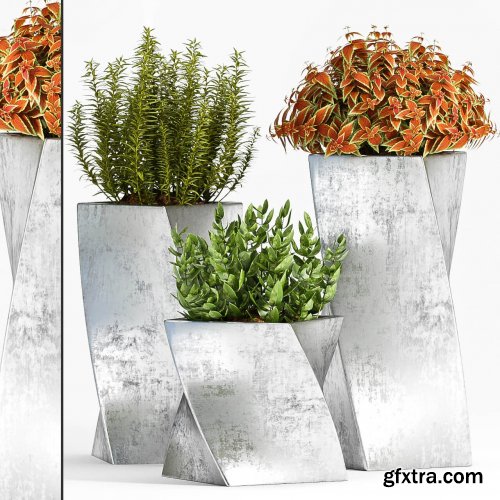 Plants in decorative pot