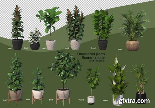 3d rendering of various types of plants