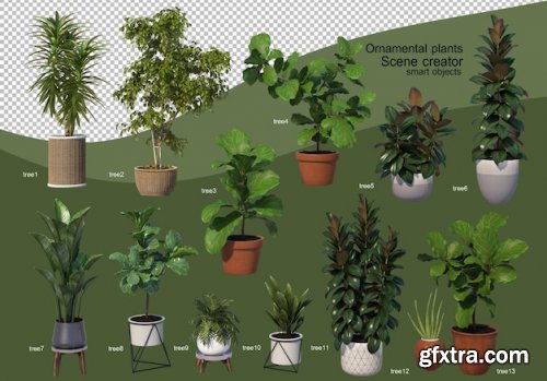 3d rendering of various types of plants